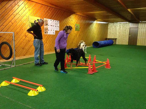 med_Cavalettilabyrinth - Azat.jpg (600 x 450)